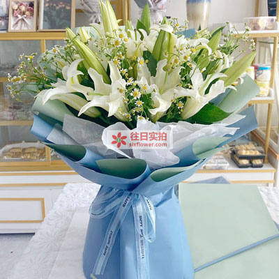 锦州8支白色多头百合洋甘菊，互倾的思念