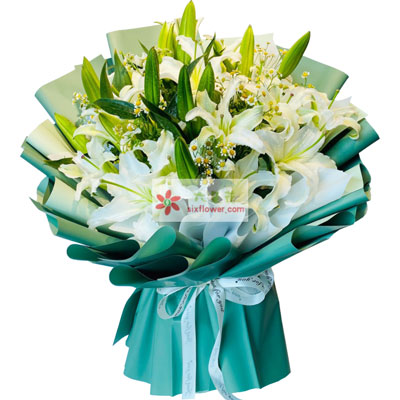 锦州8支白色多头百合洋甘菊，如潮的思念